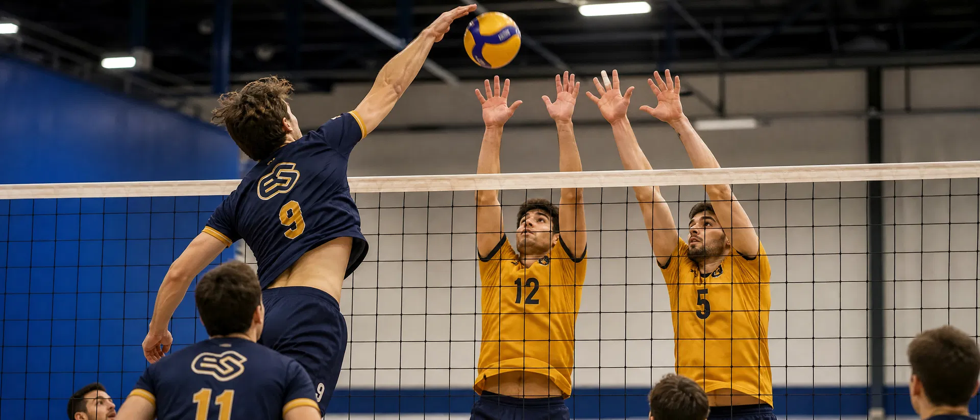 Volleyball Volleyball